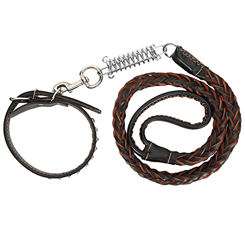 Hundeleine mit Halsband, Anti-Verlust-Halsbandset für Haustiere, Robustes Kunstledermaterial, Zwei-Wege-Zugpufferfeder, für große, mittelgroße Hunde (Black) von Bognajin