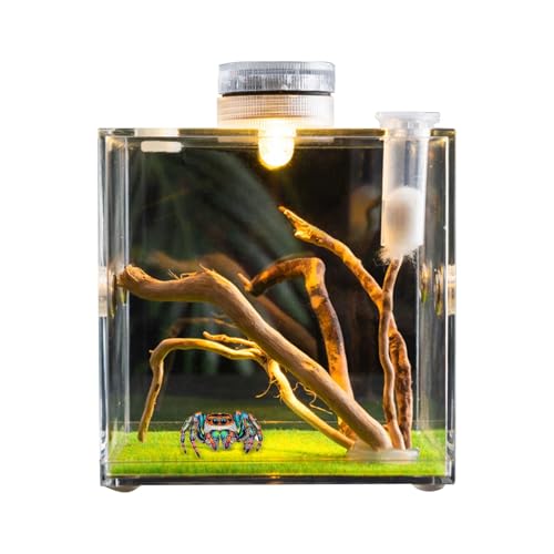 Bohany Clear Glass Reptile Container, Clear Reptile Cage,Acryl -Reptilienwachstum Gehäuse | 360-Grad-transparente Kleinprobe Träger für Eidechsen, Käfer, Schildkröten, Schnecken von Bohany