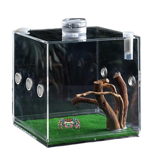 Bohany Sprungspinnengehäuse, Clear Glass Reptile Container - Acrylsprungspinnen -Clear Terrarium - Mehrzweck Haustierbehälter für Käfer, Schildkröten, Schnecken, Eidechsen von Bohany