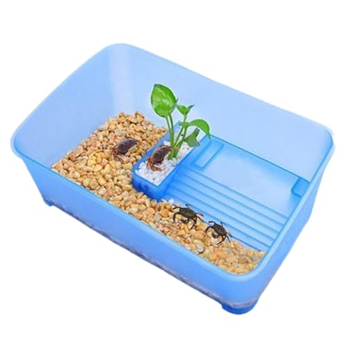 Bohany Turtle Tank Kit, Turtle Aquarium Kit - Vertiefte Schildkrötenpanzer -Starter -Kit - 5 multifunktionale Bereiche, Ackplattformen für Wasserschildkröten, Schildkrötenraum für Krabbenreptilien von Bohany