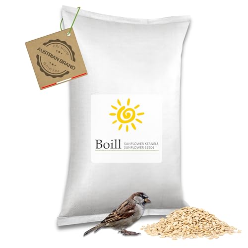 Boill/Sonnenblumenkerne geschält - 10 kg. Vogelfutter, Wildvögel Futter von Boill