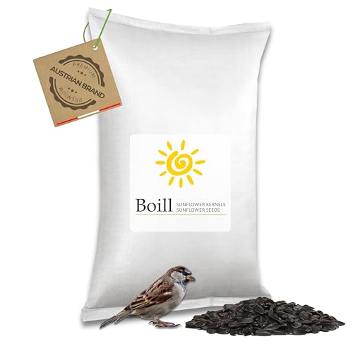 Boill/Sonnenblumenkerne schwarz - 25 kg. Vogelfutter, Wildvögel Garten Futter Neue Ernte 2024 ganzjahresfutter fettfutter 25000 g von Boill