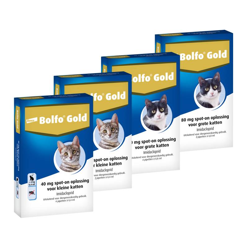 Bolfo Gold Katze 40 - 4 Pipetten von Bolfo