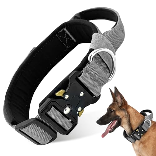 Boloshine Taktisches Hundehalsband, Verstellbare Halsband mit Kontrollgriff, Militär-Hundehalsband mit Robuster Metallschnalle für Mittlere Große Hunde Jagd Training Freizeit (Grau, L) von BoloShine