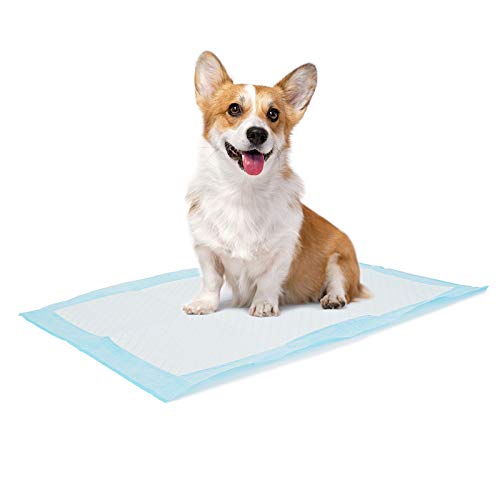 Bolux Hunde- und Welpen-Trainingspads, 33 x 45,7 cm, Einweg-Pads, ultra saugfähig auslaufsicher, Haustierunterlagen, trocknet schnell, für Hunde, Katzen, Kaninchen oder andere Haustiere (100 Stück) von Bolux