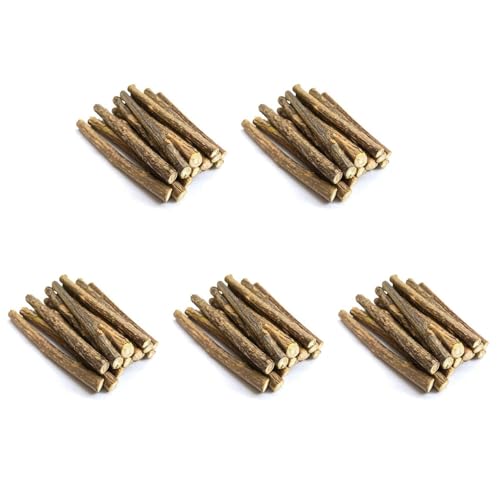 Bolvina 100 StüCk Natürliche Silberrebe Sticks für Katzen Minzen Sticks Matatabi Kauen Sticks ZäHne Molar Kauen Spielzeuge für die Reinigung Von Katzen ZäHnen von Bolvina