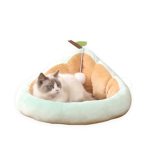 BomDog Katzenbetten, Haustierbett Schöne katzenbett Tierbett Avocado-Hundekatzenbett Katzenhöhle Süßes rutschfeste Unterseite Haustierbett für Katzen Welpen für alle Jahreszeiten (M-48x28cm, Grün) von BomDog