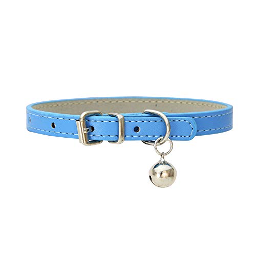 Hundehalsband, Verstellbar Hundehalsband mit Glock, Halsband mit Gepolstert und Echtes Leder für Welpen Kleine Hunde (Blau) von Bomclap