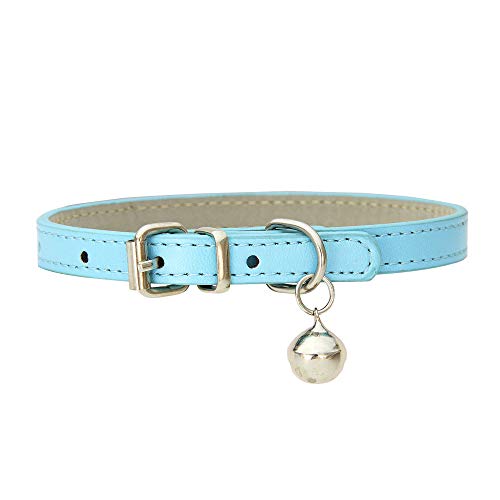 Hundehalsband, Verstellbar Hundehalsband mit Glock, Halsband mit Gepolstert und Echtes Leder für Welpen Kleine Hunde (Hellblau) von Bomclap