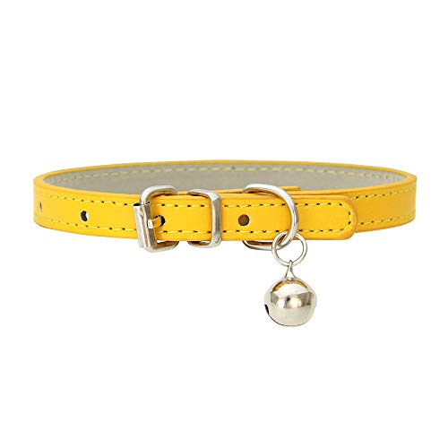 Hundehalsband mit Glock, Verstellbar Hundehalsband mit Gepolstert und Echtes Leder, Halsband für Welpen Kleine Hunde (Gold) von Bomclap