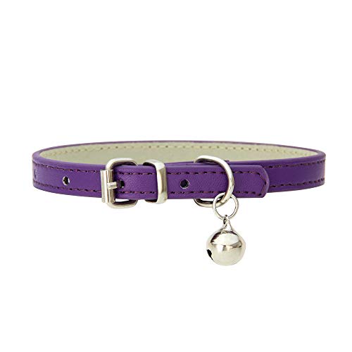 Hundehalsband mit Glock, Verstellbar Hundehalsband mit Gepolstert und Echtes Leder, Halsband für Welpen Kleine Hunde (Lila) von Bomclap