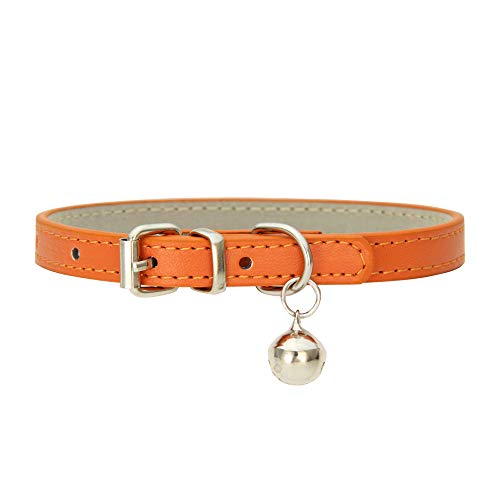 Hundehalsband mit Glock, Verstellbar Hundehalsband mit Gepolstert und Echtes Leder, Halsband für Welpen Kleine Hunde (Orange) von Bomclap