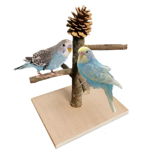 Bomefoi Papageien-Spielständer, Vogelständer Für Papageien, Naturholz Vogel Spielständer, Vogelsitzständer, Bird Playground Wood, Vogelspielständer, Wellensittich Spielzeug von Bomefoi