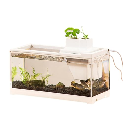 Aquarium | Miniatur Desktop Betta Fisch Tank | Aquarium Starter Kits Mit Luftpumpe Und Licht - Dekoratives Ruhiges Retro Aquarium Kleines Aquarium Für Betta Fische, Garnelen, Goldfische von BommFu