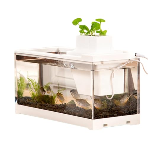 BommFu Aquarium | Miniatur Desktop Betta Fisch Tank | Aquarium Starter Kits Mit Luftpumpe Und Licht - Dekoratives Ruhiges Retro Aquarium Kleines Aquarium Für Betta Fische, Garnelen, Goldfische von BommFu