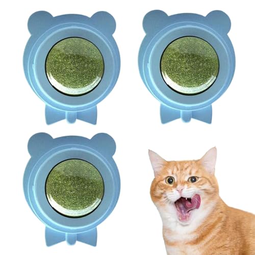 BommFu Katzenminzenkugeln für Innenkatzen, Silvervine Catnip Wall | Rotatable essbares Spielzeug | Interaktiver Katzenminzenspielzeug Silvervine für Wand montierte Unterhaltung von BommFu