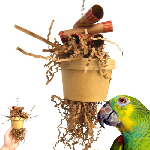 Bonka Bird Toys 3868 Spardose, klein, mittelgroß, Vogelspielzeug, Leckerli-Box, Futtersuche, Papier, Kaumünzen, Röhrchen, Nymphensittiche, Sittiche, Sittiche und andere ähnliche Vögel von Bonka Bird Toys