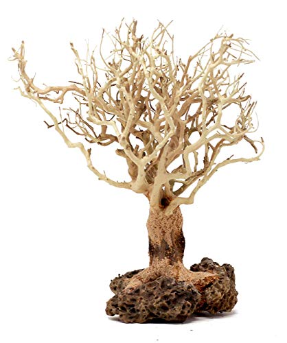 Bonsai Treibholz Aquarium Baum 17,8 cm Höhe, natürlich, handgefertigt, Dekoration für Aquarien, hilft das Gleichgewicht des Wassers pH-Werts, stabilisiert Umgebungen, BBS von Bonsai Driftwood