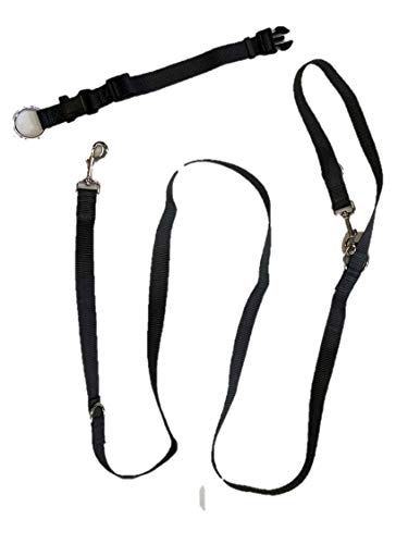 bontoy Leinen und Halsband Set Anthrazit Grau 25mm (Größe L) von bontoy