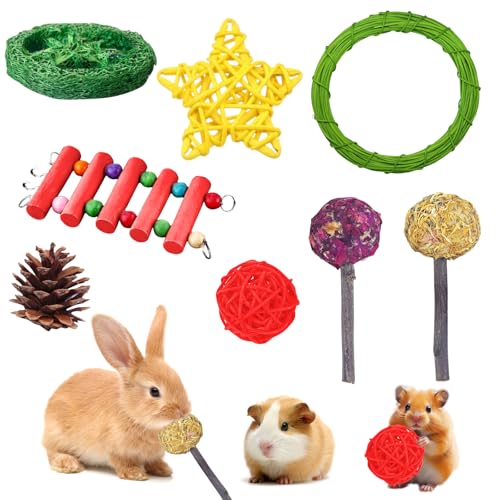 Booaee Kaninchen Zubehoer,8 STK Meerschweinchen Spielzeug Weihnachten Kaninchen Kauspielzeug Hamster Hasen Spielzeug Beschäftigung Kaninchen Zubehör Set Zahnpflege,Handgefertigt Hamster von Booaee