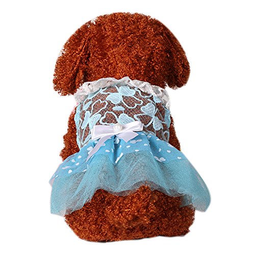 Boodtag Hund Kleider Hochzeit Spitze Tutu Warm Anzug Teddy Rock Prinzessin Kleidung mit Bowknot für Kleinen Hunde Welpe von Boodtag