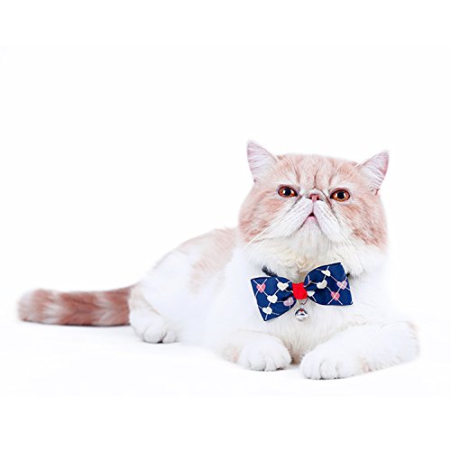 Boodtag Hunde Fliege Kragen mit Schleife Schelle Krawatte Haustier Halskette Schal Handtuch Haustier Katze Verstellbare Bowtie von Boodtag