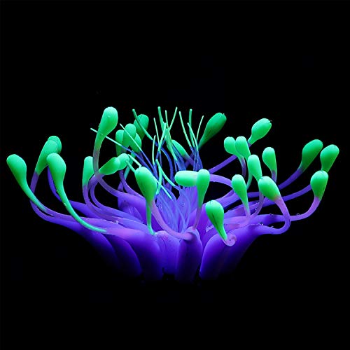 Boodtag Künstliche Korallen Plant Set für Aquarium Korallenriffmeerblick Ornament Aquarienpflanzen Korallendekor Leuchteffekt Silikon Wasserpflanze Blume Seeanemone Koralle Plant Fisch Tank Dekoration von Boodtag