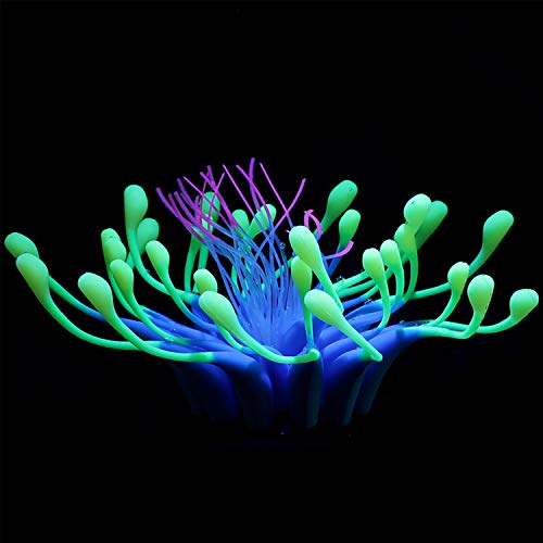 Boodtag Künstliche Korallen Plant Set für Aquarium Korallenriffmeerblick Ornament Aquarienpflanzen Korallendekor Leuchteffekt Silikon Wasserpflanze Blume Seeanemone Koralle Plant Fisch Tank Dekoration von Boodtag