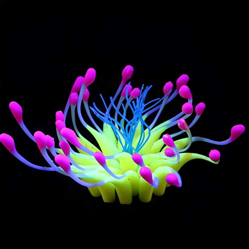 Boodtag Künstliche Korallen Plant Set für Aquarium Korallenriffmeerblick Ornament Aquarienpflanzen Korallendekor Leuchteffekt Silikon Wasserpflanze Blume Seeanemone Koralle Plant Fisch Tank Dekoration von Boodtag