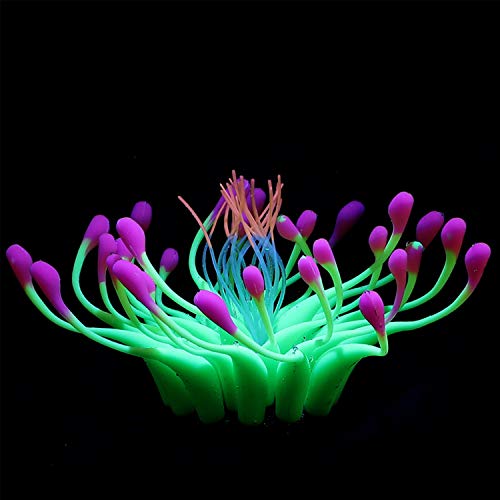 Boodtag Künstliche Korallen Plant Set für Aquarium Korallenriffmeerblick Ornament Aquarienpflanzen Korallendekor Leuchteffekt Silikon Wasserpflanze Blume Seeanemone Koralle Plant Fisch Tank Dekoration von Boodtag