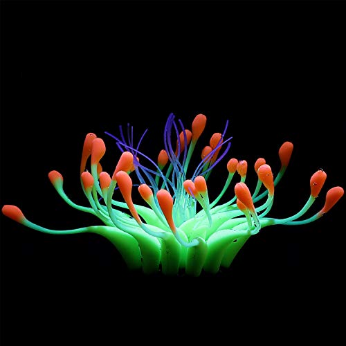 Boodtag Künstliche Korallen Plant Set für Aquarium Korallenriffmeerblick Ornament Aquarienpflanzen Korallendekor Leuchteffekt Silikon Wasserpflanze Blume Seeanemone Koralle Plant Fisch Tank Dekoration von Boodtag