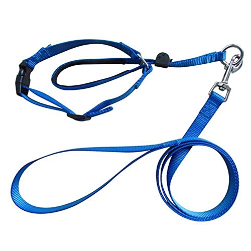 Boolavard Hundehalsbänder & Leinen Haustierhalsband Sanfte Kontrolle Leine Leader Stop Pull Trainingswerkzeug No-Pull Schmerzlos (Large, Blau) von Boolavard