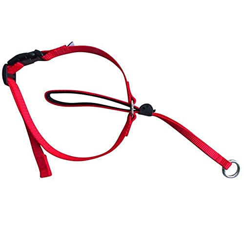 Boolavard Hundehalsbänder & Leinen Haustierhalsband Sanfte Kontrolle Leine Leader Stop Pull Trainingswerkzeug No-Pull Schmerzlos (Large, Rot) von Boolavard