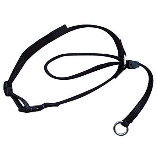 Boolavard Hundehalsbänder & Leinen Haustierhalsband Sanfte Kontrolle Leine Leader Stop Pull Trainingswerkzeug No-Pull Schmerzlos (Medium, Schwarz) von Boolavard