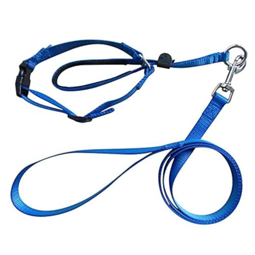 Boolavard Hundehalsbänder & Leinen Haustierhalsband Sanfte Kontrolle Leine Leader Stop Pull Trainingswerkzeug No-Pull Schmerzlos (Small, Blau) von Boolavard