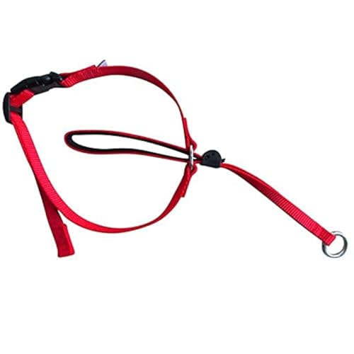 Boolavard Hundehalsbänder & Leinen Haustierhalsband Sanfte Kontrolle Leine Leader Stop Pull Trainingswerkzeug No-Pull Schmerzlos (Small, Rot) von Boolavard