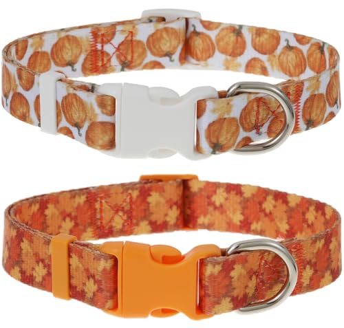 Herbst-Hundehalsband, Herbsthalsband für mittelgroße Hunde, niedliches Ahorn- und Kürbis-Hundehalsband für Jungen, Mädchen, Hunde, Thanksgiving, 2 Stück von BoomBone