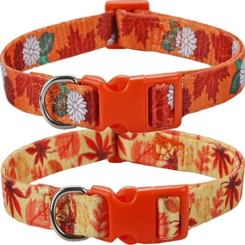 Herbst-Hundehalsband für kleine Hunde, 2 Stück, Thanksgiving-Hundehalsband mit Ahorn- und Blumenmuster, verstellbar und weich zum Tragen, perfekt für Welpen von BoomBone