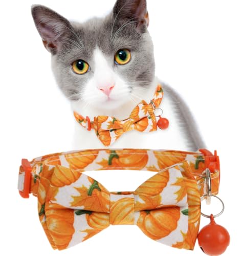 Herbst Katzenhalsband, abnehmbare Fliege Kätzchenhalsband mit Glocke, Kürbishalsband für Katzen kleine Hunde von BoomBone
