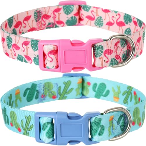 Hundehalsband für Frühling und Sommer, Flamingos, Kaktus, mittelgroß, Hawaii-Halsband für Jungen, Mädchen, Hunde, 2 Stück von BoomBone