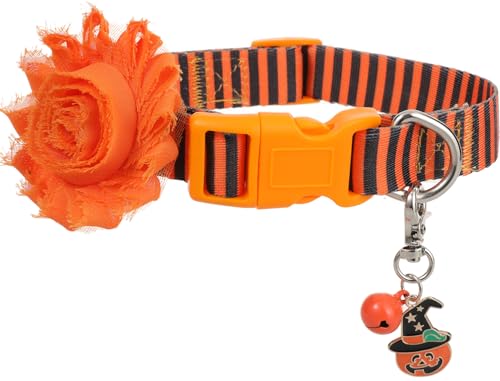 Hundehalsband mit abnehmbarem Blumen-Accessoire und Kürbis-Anhänger von BoomBone