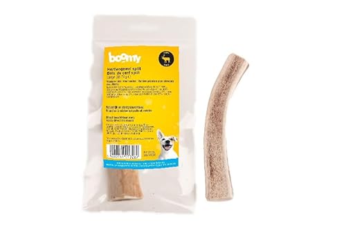 Boomy - Geteiltes Hirschgeweih für Hunde - Harter Hundesnack - Kaustab (L (38-74g)) von Boomy