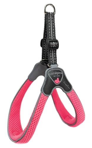 Boon Luxe Coralpina - Hondenharnas tuig Cinquetorri Fluo Roze - 40-50 cm - Maat 5 von Boon