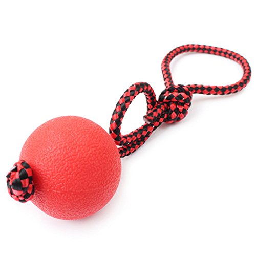 Boowhol Hundespielzeug Ball Spielzeug Bälle Gummiball Elastisches Ball-Haustierspielzeug des Seils Hundetraining Beißende Feste Springende Kugel (Durchmesser 5cm) von Boowhol