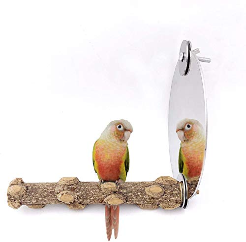 Borangs Bird Mirror with Perch,5 inch Stainless Steel Parrot Mirror Toys Comfy Perch for Greys Amazons Parakeet Cockatiel Conure Lovebirds Finch Canaries von Borangs