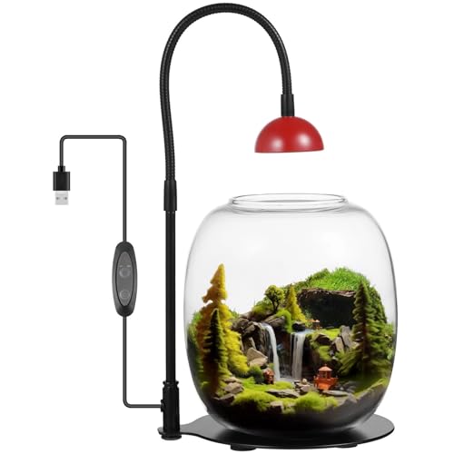 Sukkulenten Pflanzen-Terrarium mit Wachstumslicht, USB-betriebenes Timer-Licht für Innengärten, Glasvase für Moos und Fische Sukkulenten Pflanzen-Terrarium mit Wachstumslicht, USB-betriebenes Timer-Licht für Innengärten, Glasvase für Moos und Fische von Bosreroy