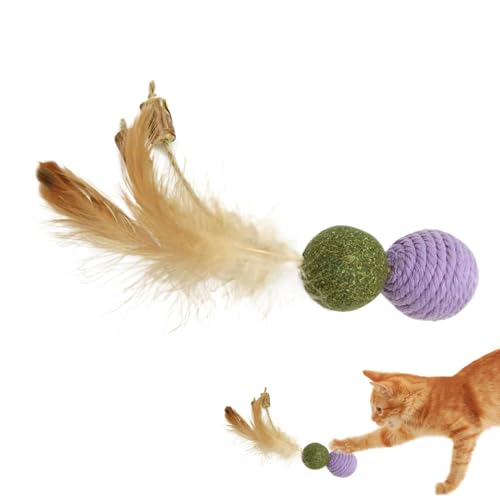 Botiniv Interaktives Katzenspielzeug mit Feder, Katzenfederspielzeug | Catnip Kitten Toy - Kätzchen -Katzenminze -Ball, Kautentrainungsgerät für gelangweilte Innenhüter Haustiere von Botiniv