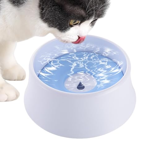 Botiniv Langsamer Wasserspender für Hunde, Hundenapf ohne Spritzer,Wassernapf für Katzen - No Splash Hundenapf, Haustierkatzen-Langsamtrinknapf für Zuhause, Spazierengehen von Botiniv