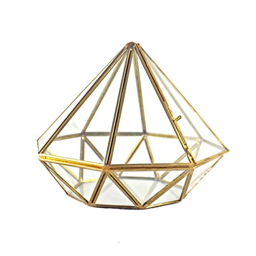 Geometrisches Terrarium Moderner Feengarten Behälter Glas Display Box Für Saftige Farnmoos Luftkaktuspflanzen Für Zuhause von Bottone