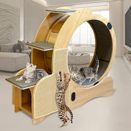 Katzensport-Laufrad, Katzenrad, Holz-Kletterrahmen, Katzenstreu, Fitness-Rad für Indoor-Katzen, Kletterleitern, Katzenkratzbrett, Katzennäpfe, 117 x 97 x 107 cm (verbessertes 5-in-1-Modell) von BouPower